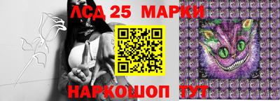 дмт Павлово