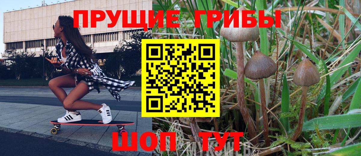 Галлюциногенные грибы MAGIC MUSHROOMS  Вход с VPN  Владикавказ  Галлюциногенные грибы Cubensis 