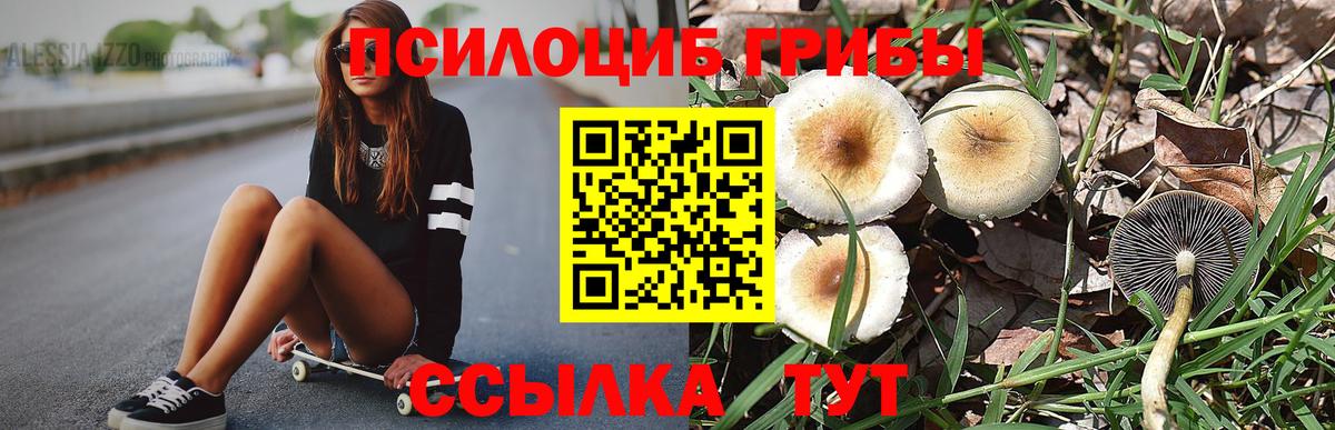 Галлюциногенные грибы MAGIC MUSHROOMS Владикавказ